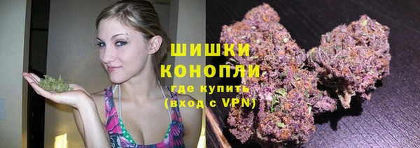 стаф Карталы